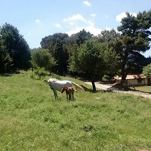 Bosco Pianetti Farm stay